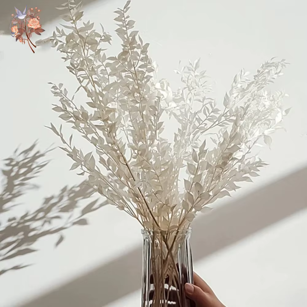 Bouquet de fleurs séchées de feuilles de Ruscus naturelles