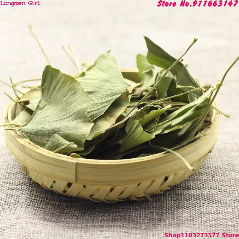 Feuilles séchées de Ginkgo Biloba de haute qualité