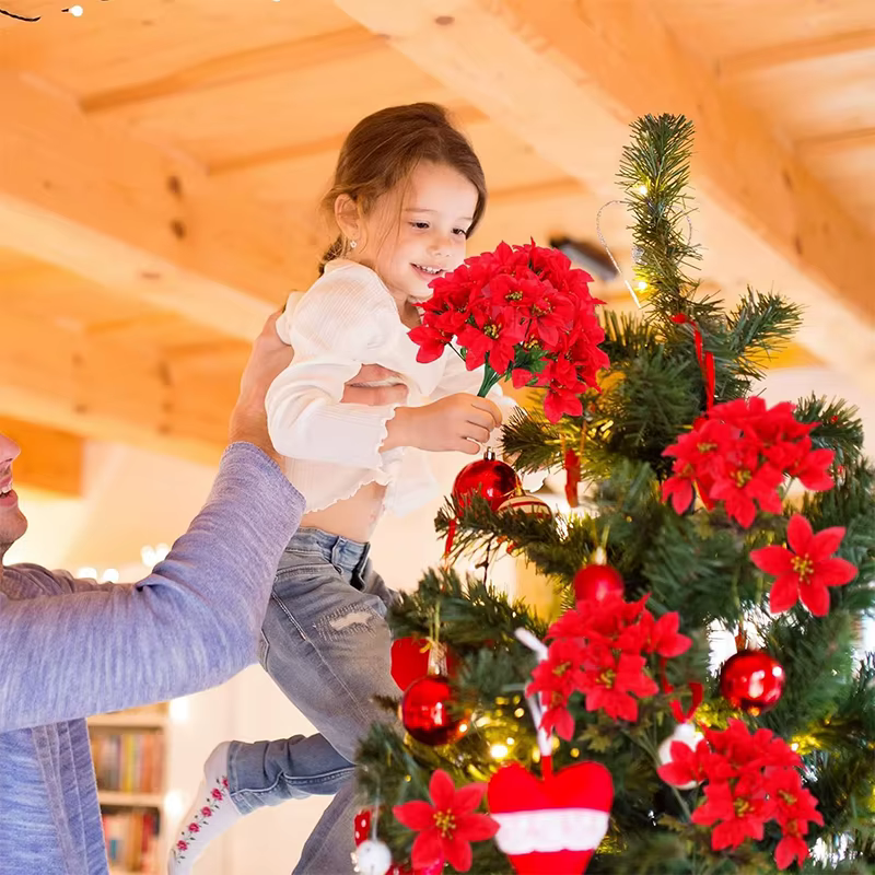 Bouquet de Fleurs Rouges pour Patients de Noël
