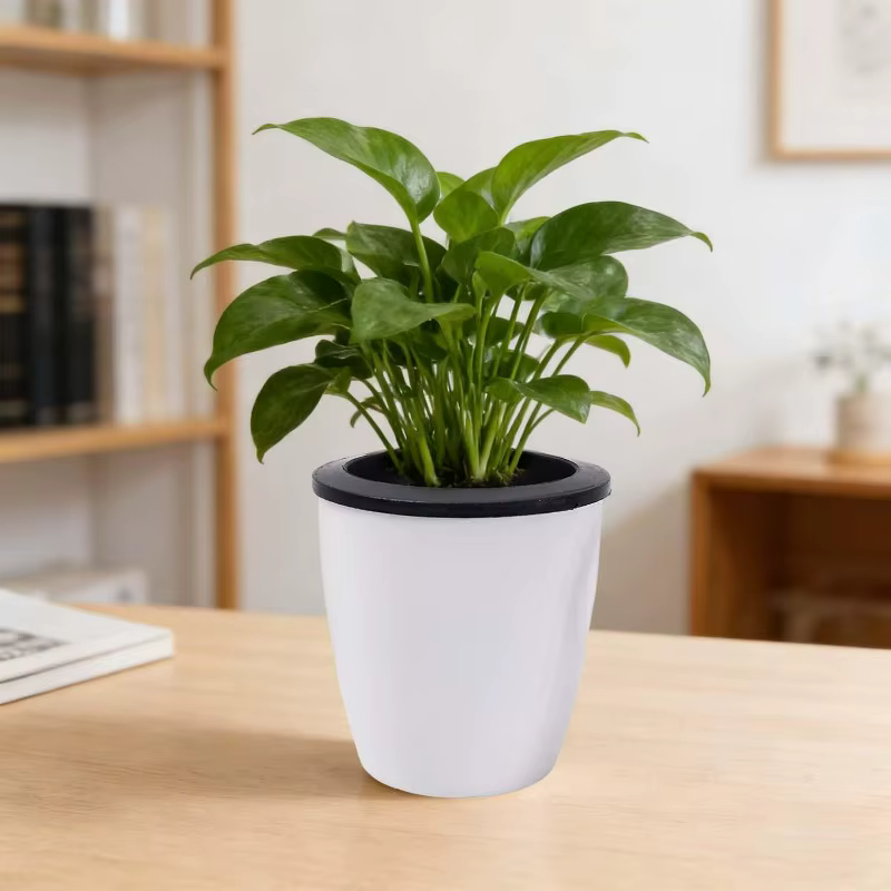 Pots de plantes d'intérieur auto-arrosants avec corde en coton