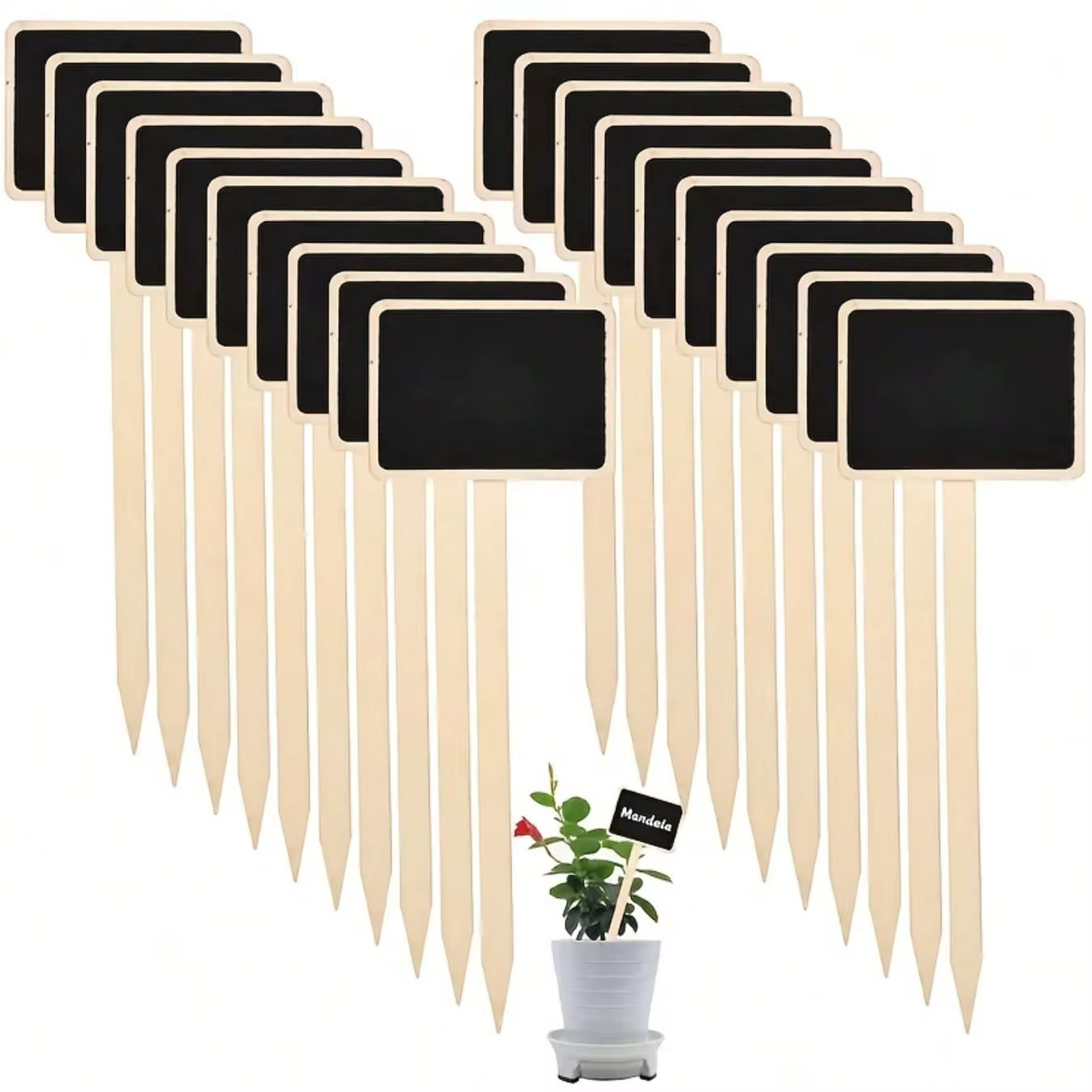 Ensemble de 10 étiquettes de plantes rustiques en bois