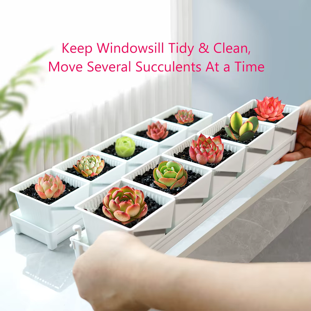 Pots à succulentes respirants avec élagage à l'air