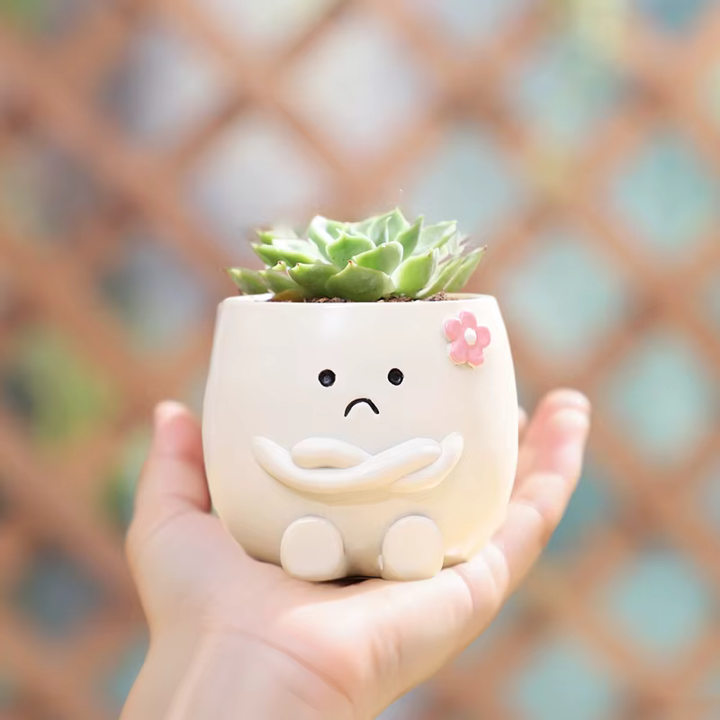 Mini Pot de plantes en résine avec visage Smiley