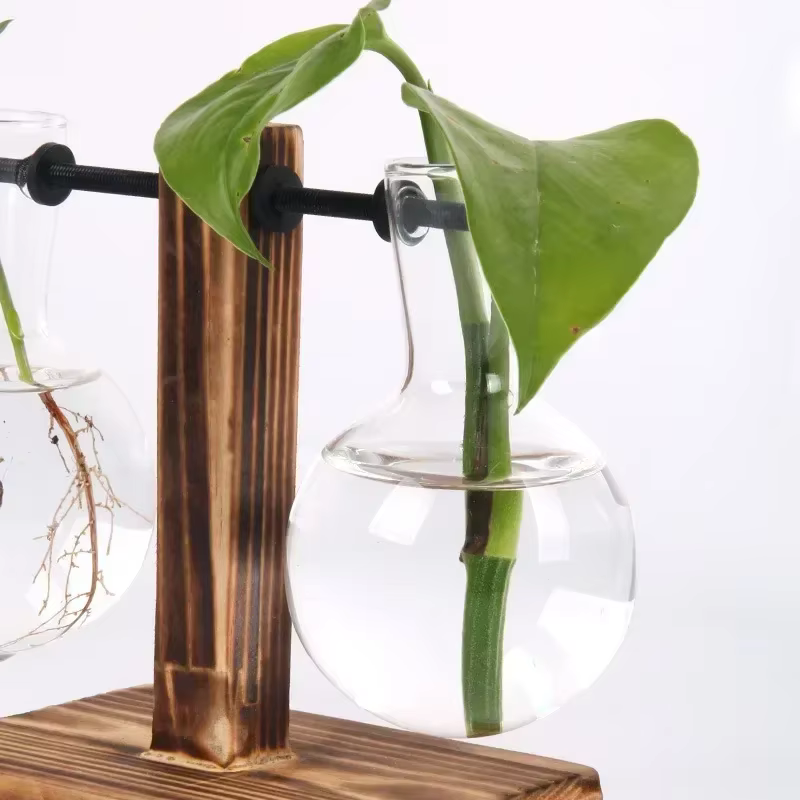 Plante hydroponique Terrarium Vasevase décoration maison bouteille en verre