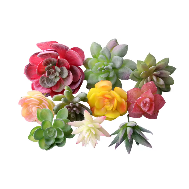 Diverses plantes succulentes artificielles tropicales