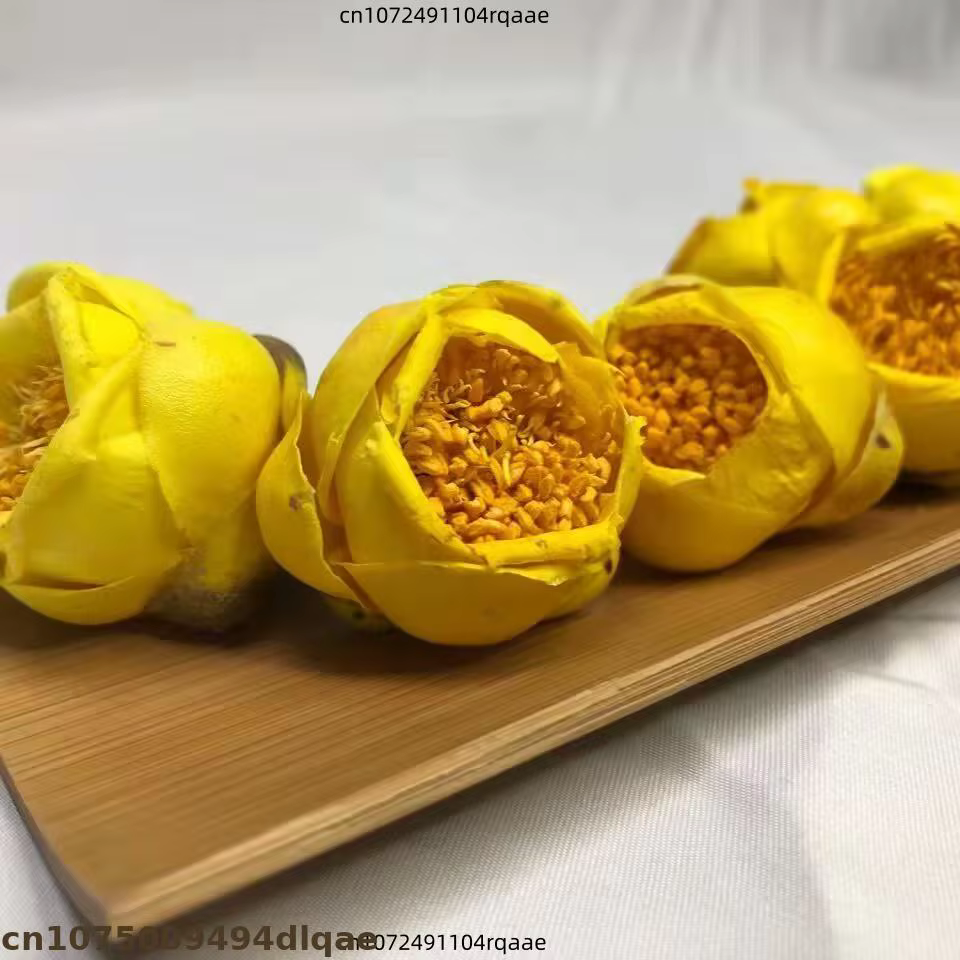 Fleur de camélia séchée de qualité supérieure 50g/100g/200g