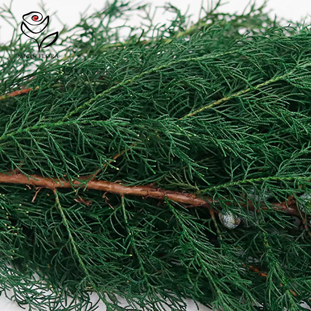 Fleurs Éternelles vaccées pour Arbre de Noël