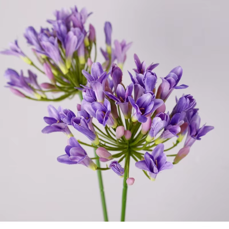 6 pièces de fleurs artificielles d'agapanthus en soie de haute qualité