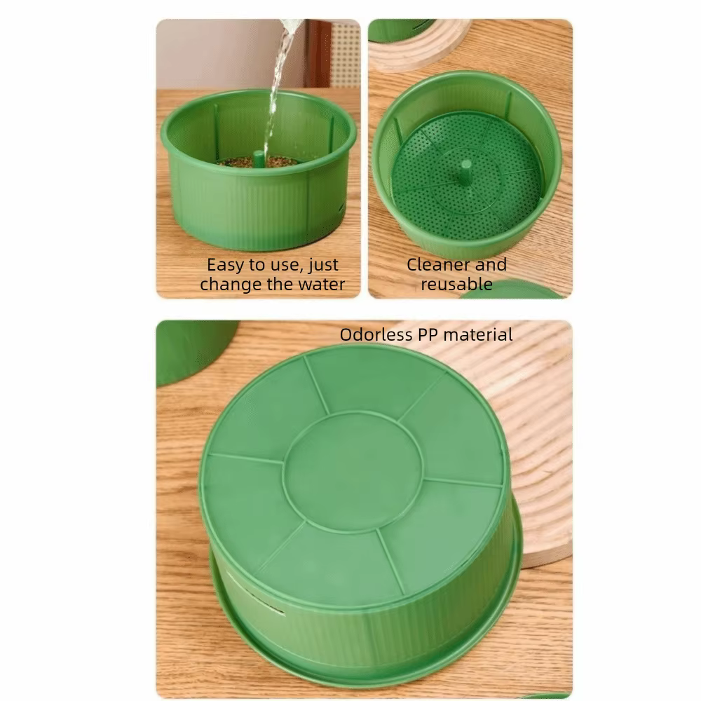 Pots de culture de pousses de légumes en plastique