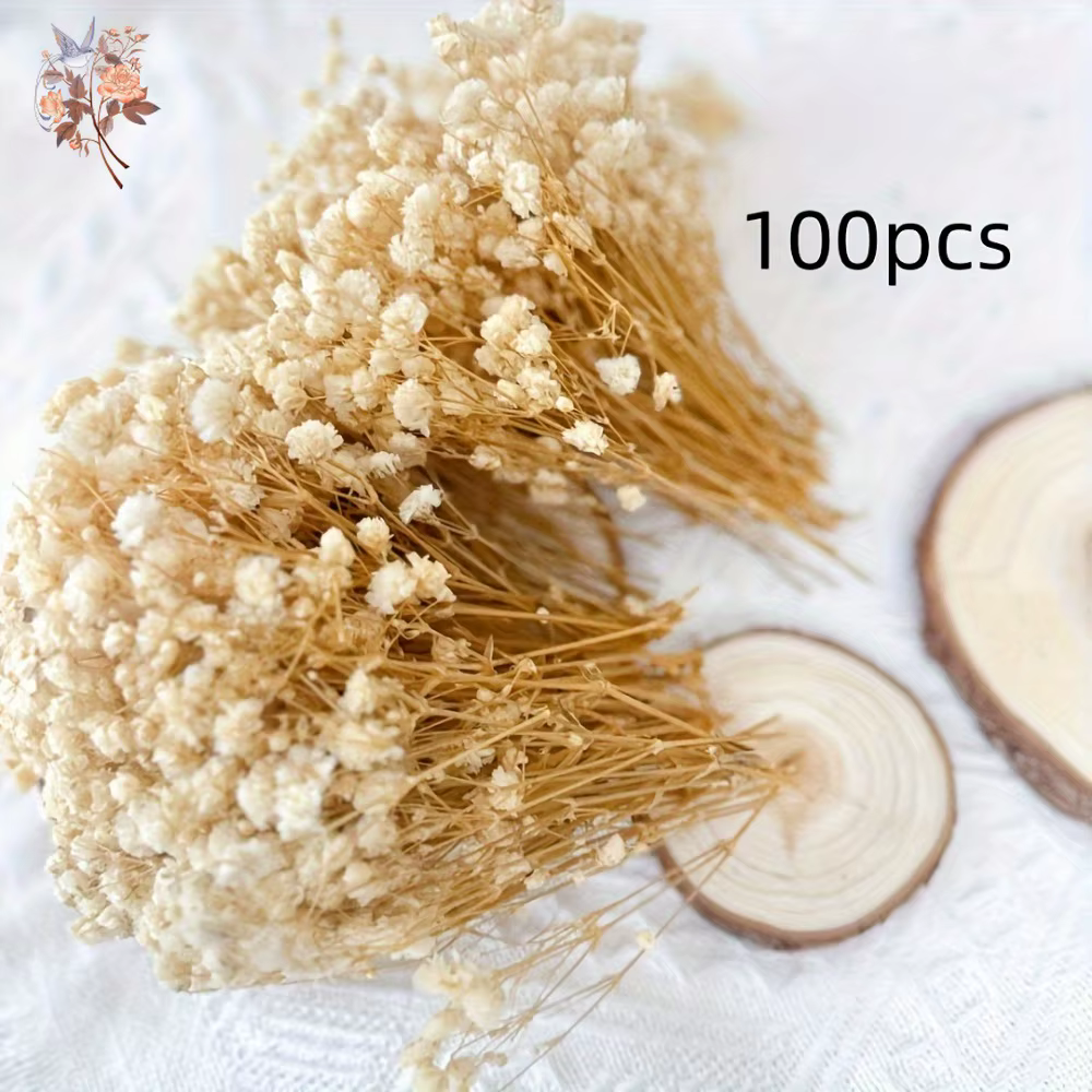 100 pièces Mini fleurs souffle de bébé séchées pour artisanat en résine bricolage décor de mariage à la maison vraie touche gypsophile petit paquet embellir cadeau