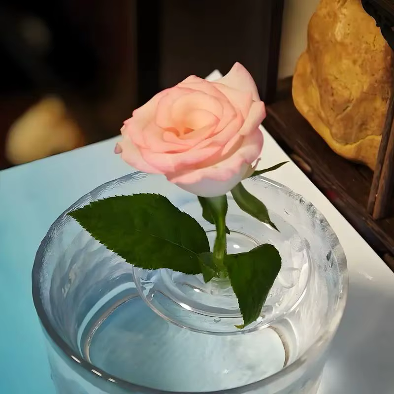Vase à fleurs flottant en verre : présentoir hydroponique