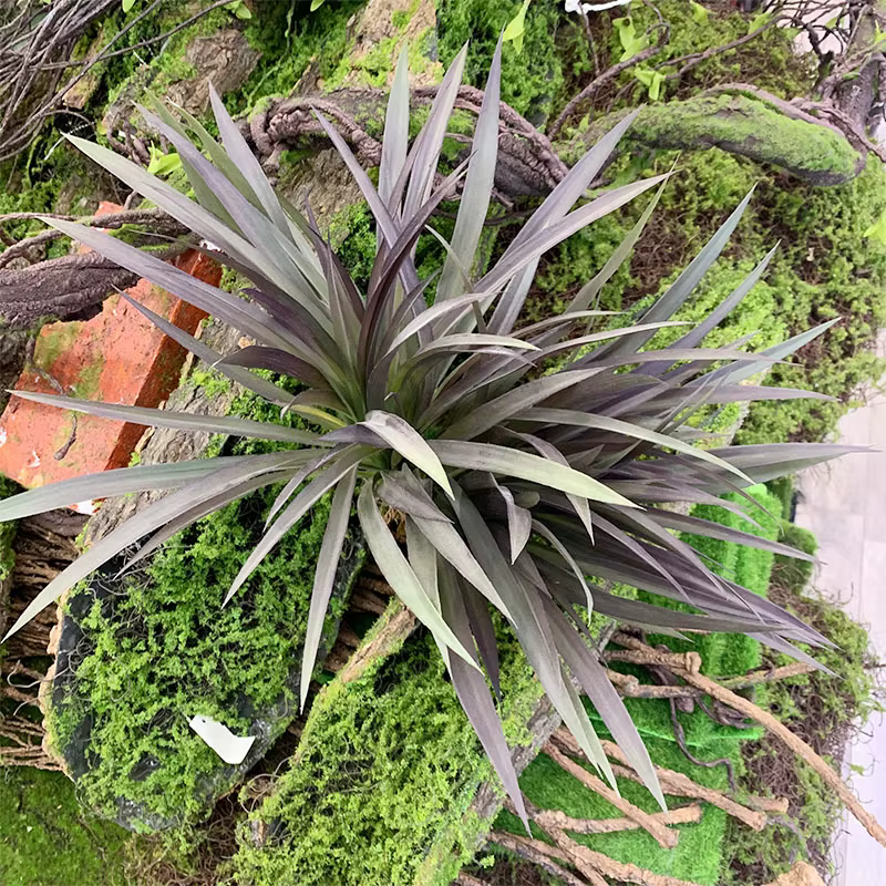 Plante artificielle en plastique Chlorophytum Comosum