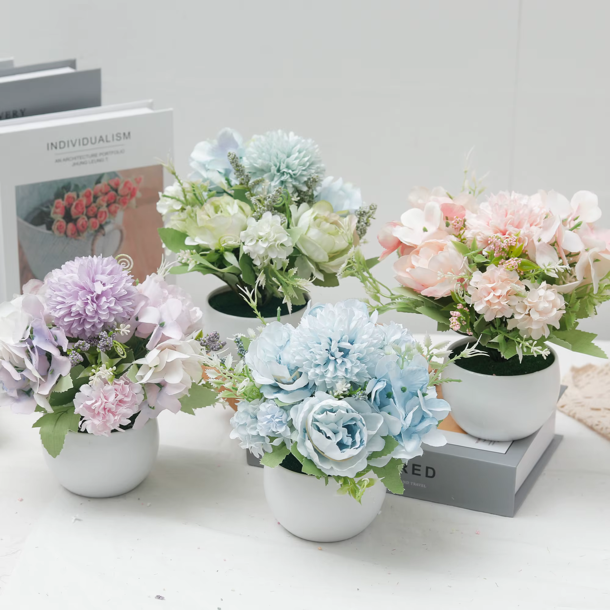 Plante d'hortensia en pot