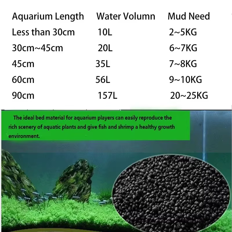 Herbe à eau pour plantes d'aquarium