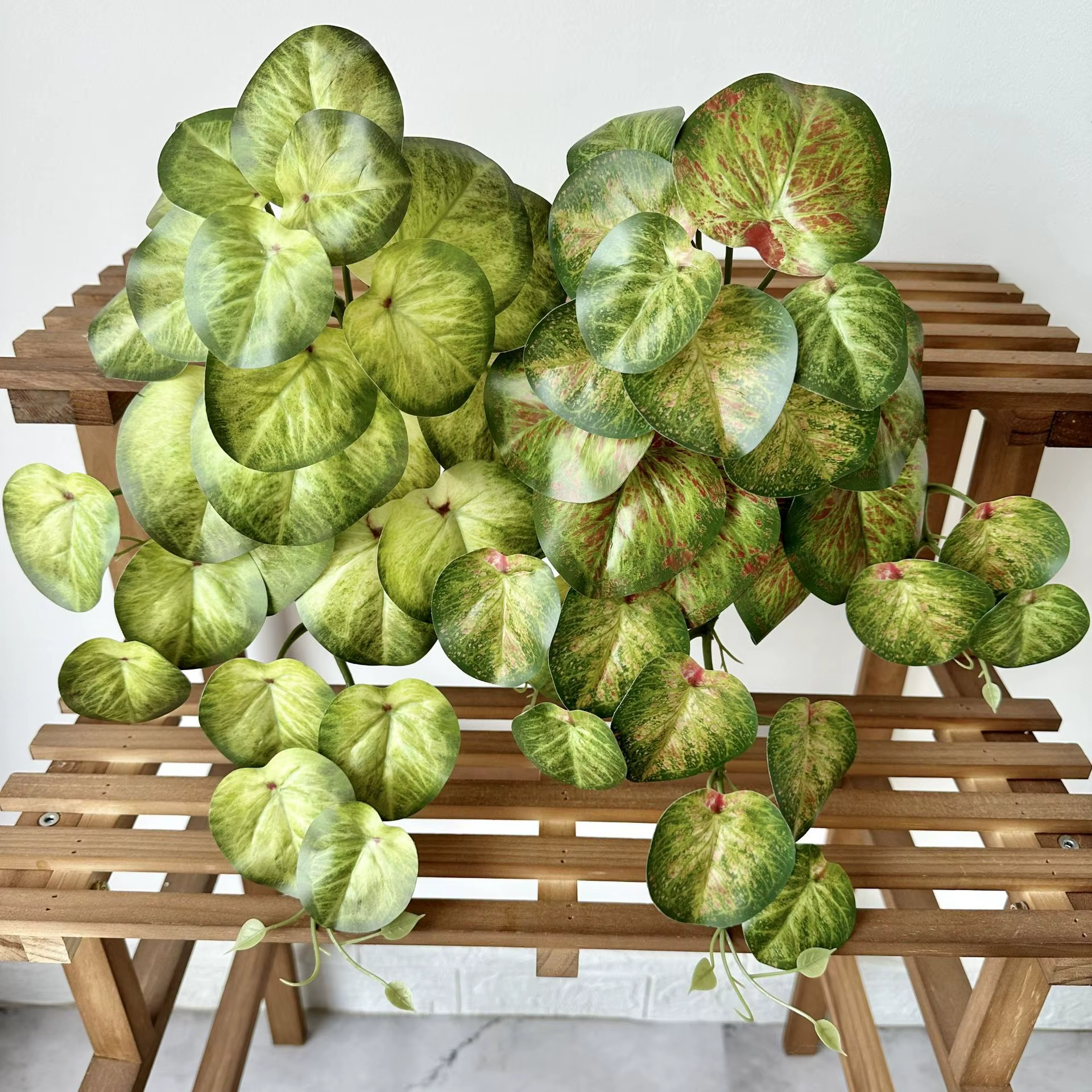 Plantes vertes simulées d'aloès vert