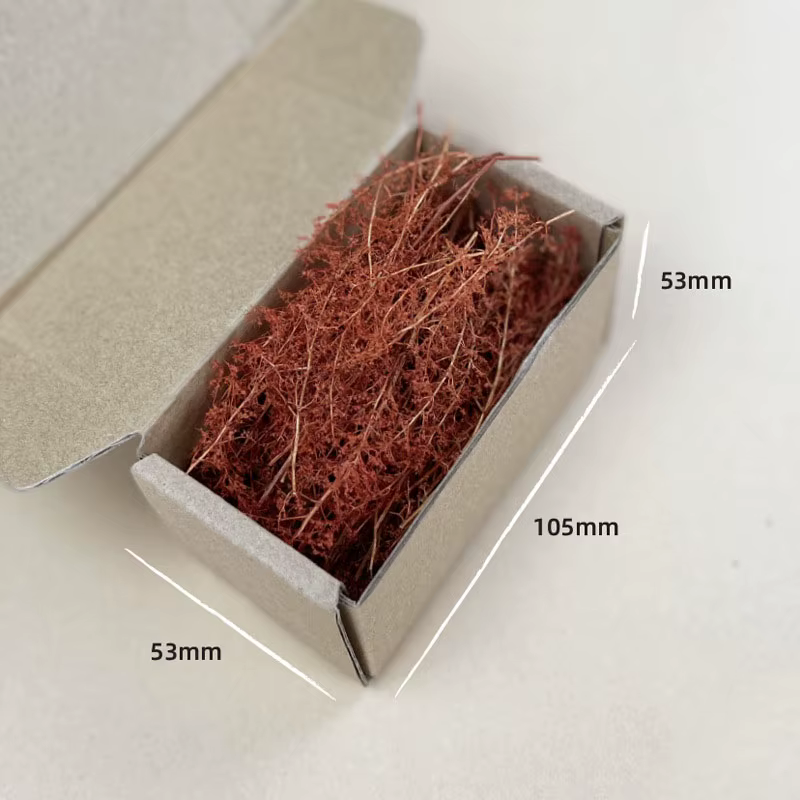Kit de modèle d'herbe sèche