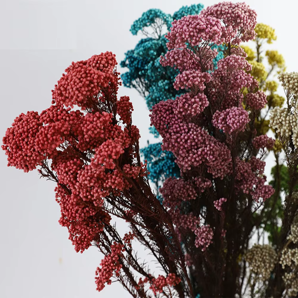 Bouquet de Fleurs Naturelles vaccées