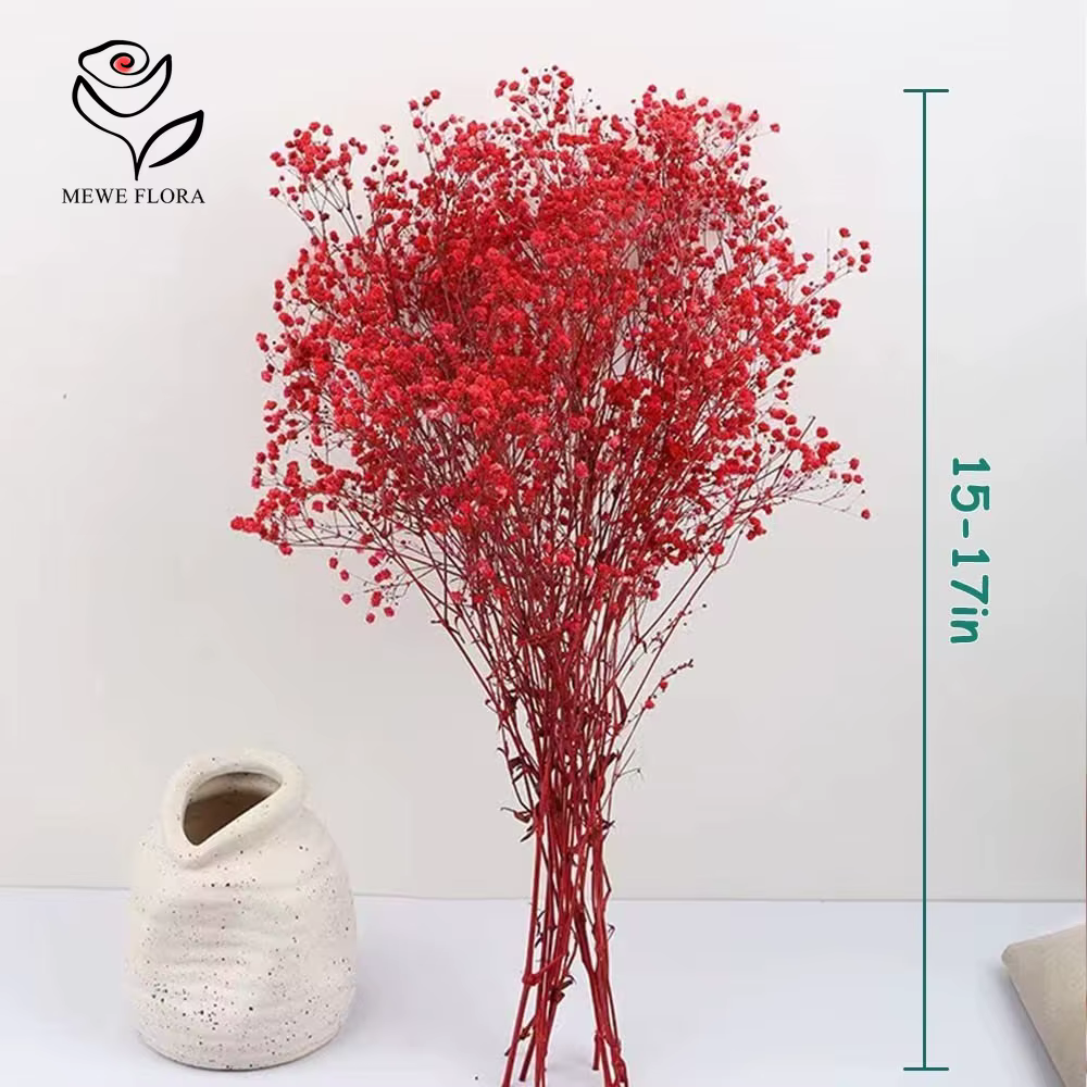 Bouquet de fleurs séchées pour bébé