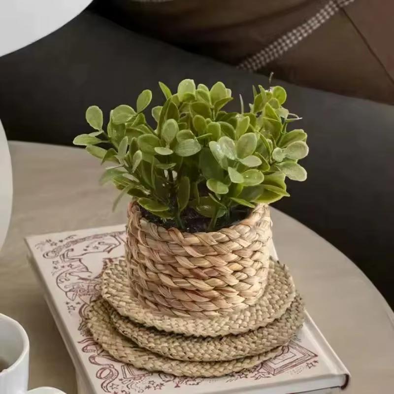 Plante en Pot, petites fausses plantes