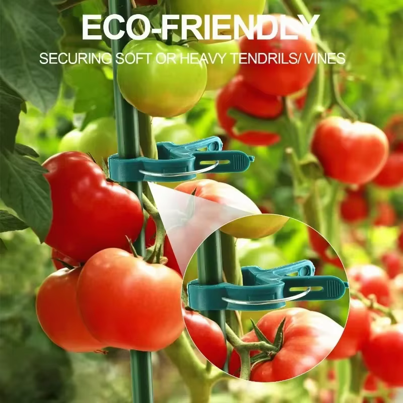 Clips fixes pour plantes réutilisables