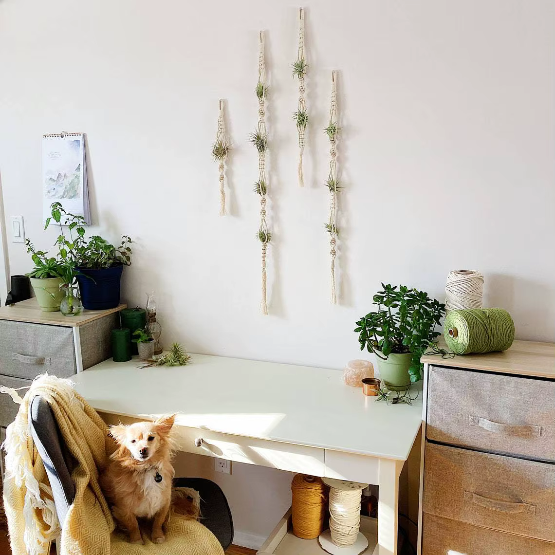 Cintre pour plantes à Air en macramé