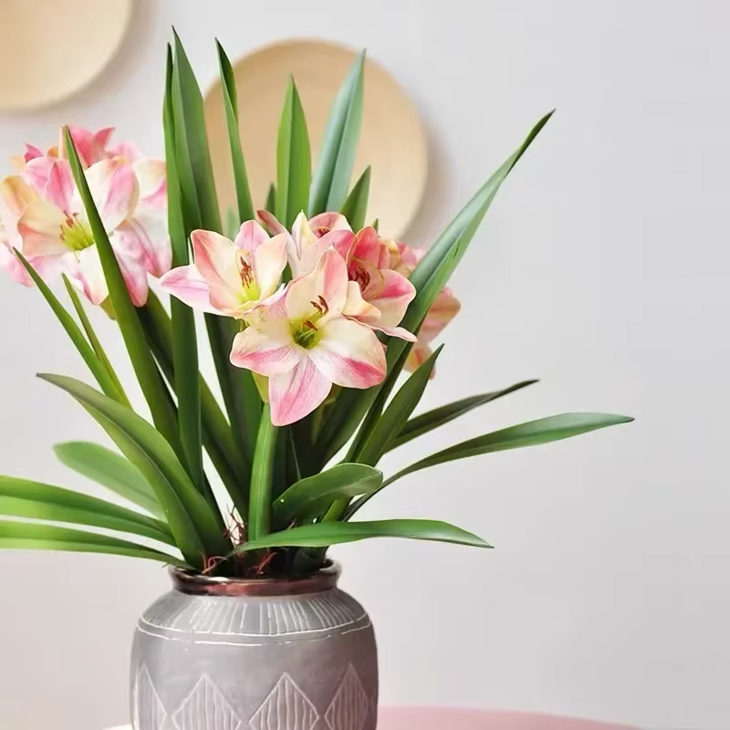 Feuilles de clivia artificielles décoratives d'étude