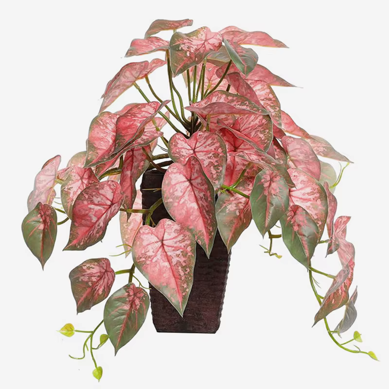 Simulation de Plantes Artificielles Rares