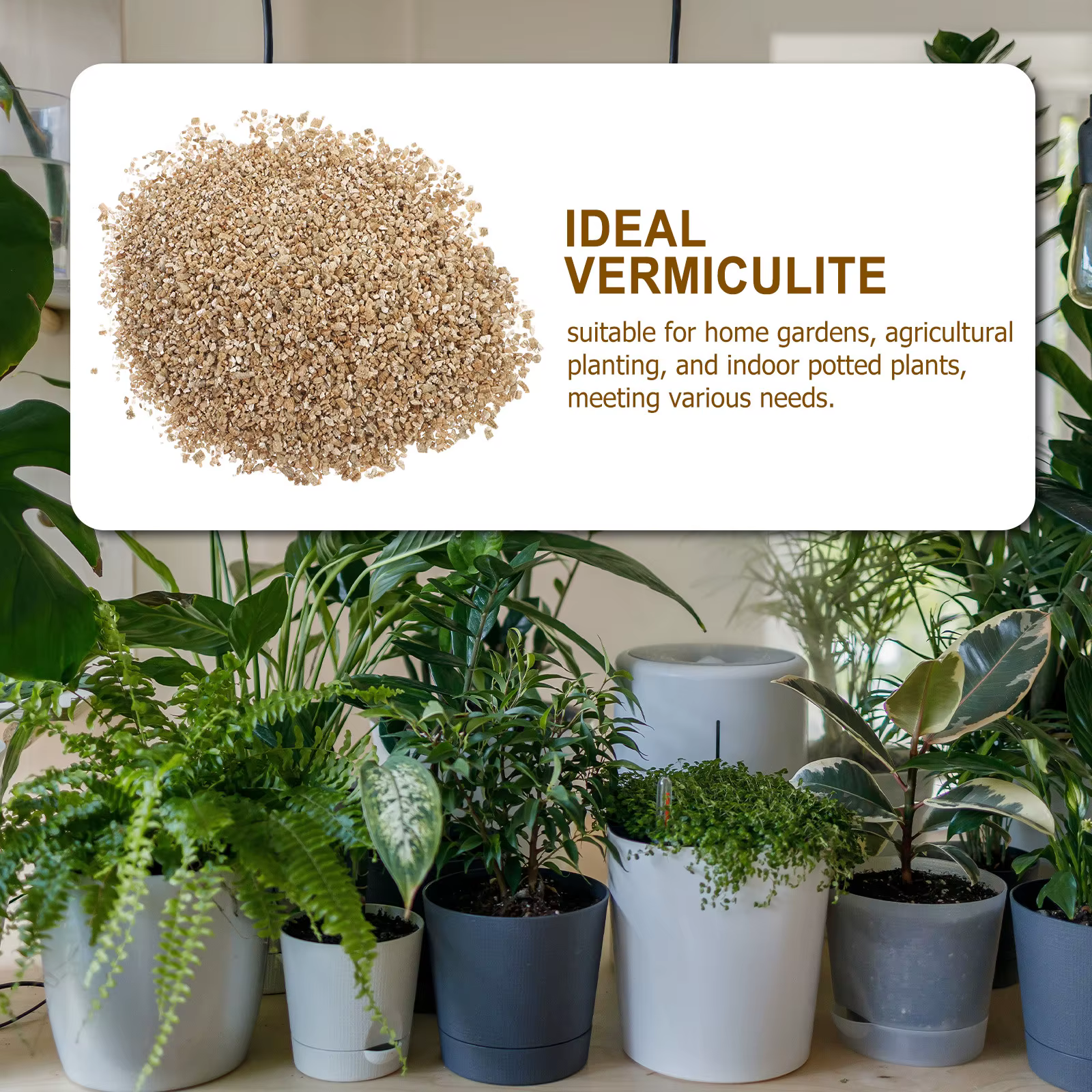 Vermiculite fine de qualité supérieure 3L pour l'amélioration du sol de jardin