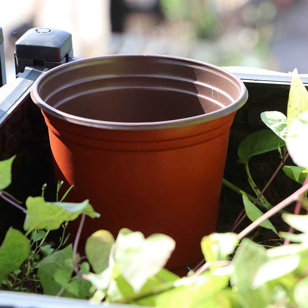 Pot de plantes de jardin