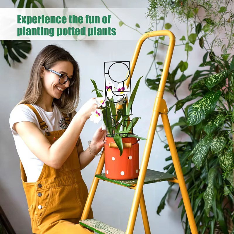 Cadre d'escalade en métal pour plantes