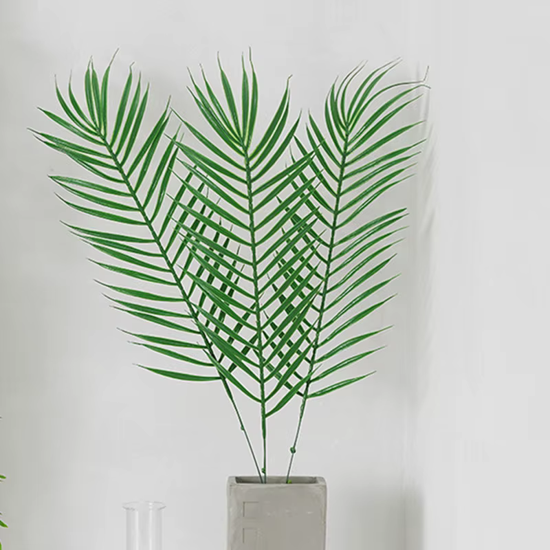 Feuilles de palmier Monstera Tropical