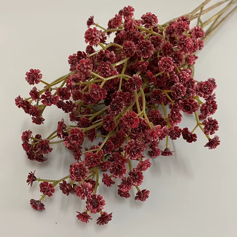 Fleur séchée Gypsophila de 62 cm de haute qualité