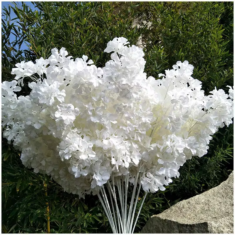 Branches de pouvez-vous psophile Blanches