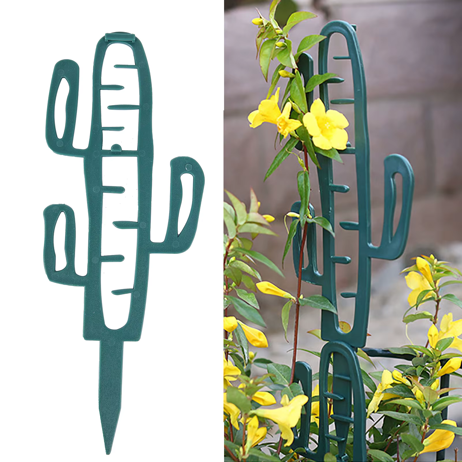 Support d'escalade pour plantes