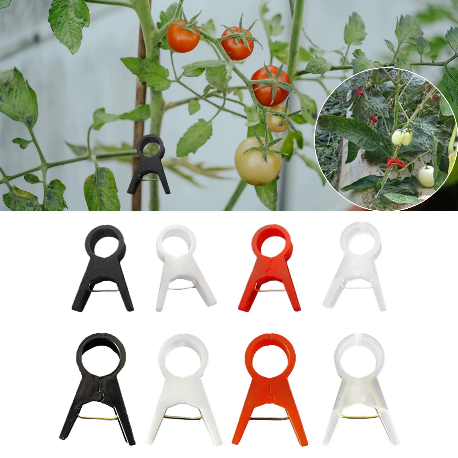 Clips pour plantes, 100 pièces, support pour tomate, vigne, concombre, fleur