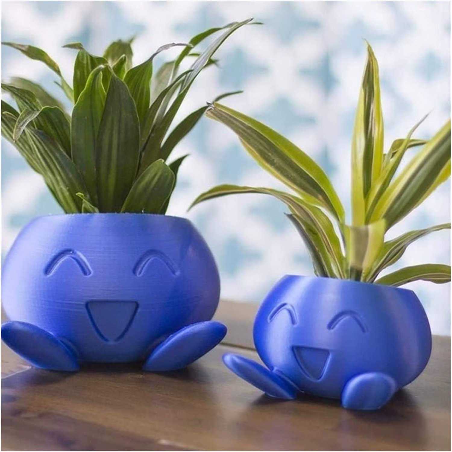 Jardinière étrange Pot de fleur