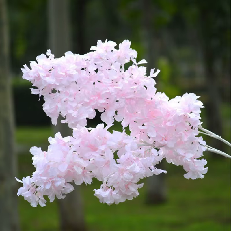 Étoile de ciel couverte de neige sans fleur