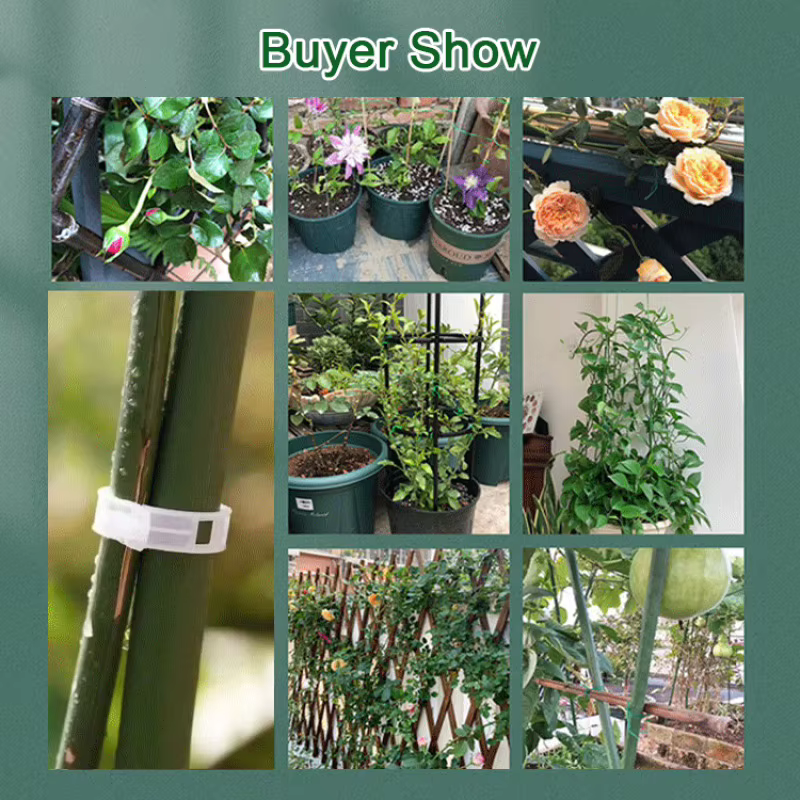 Attaches de fixation pour plantes suspendues