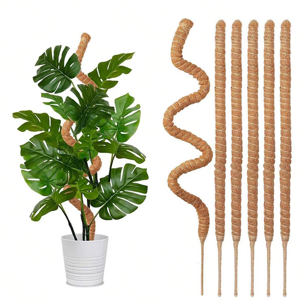 Poteau en mousse pour plantes