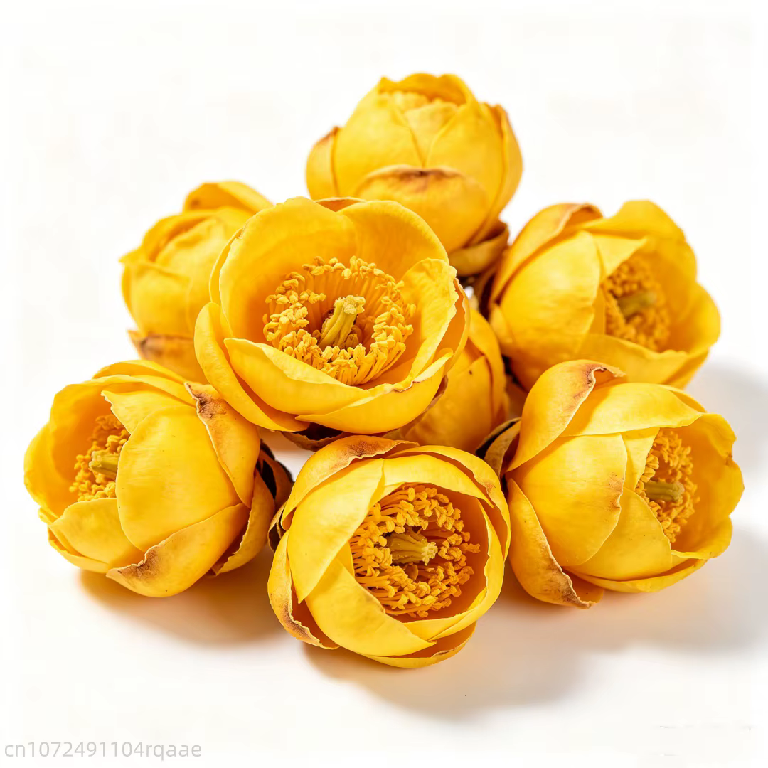 Bourgeons de Camélia Petetotii Naturels Premium