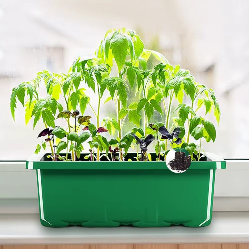 Kit de lancement de plantes de plateau