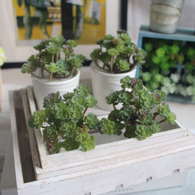 Plante succulente artificielle simulée