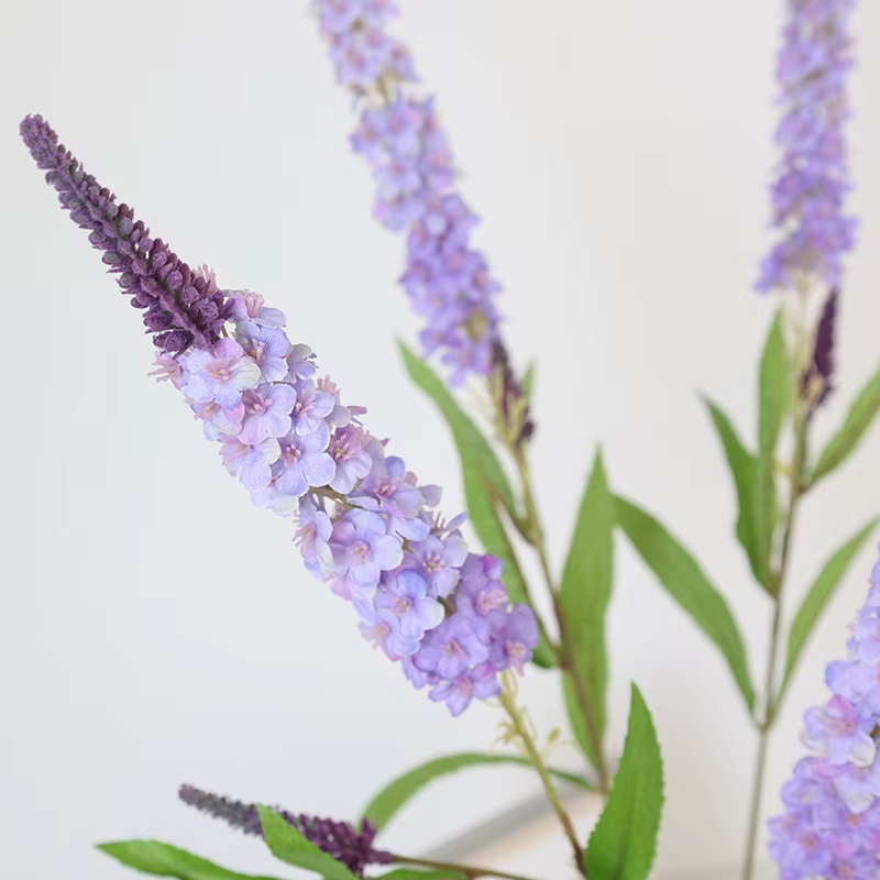Fleur de simulation de lavande pour affichage de fenêtre