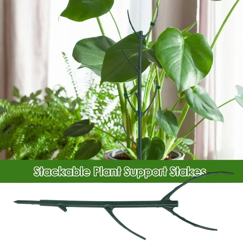 Piquet de Support pour plantes grimpantes