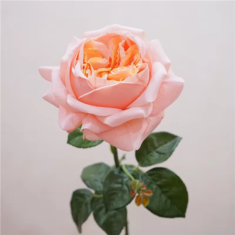 Roses Artificielles en Latex