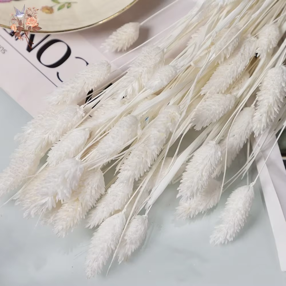 Bouquet de pierres précieuses de phaladditif séchées éternelles