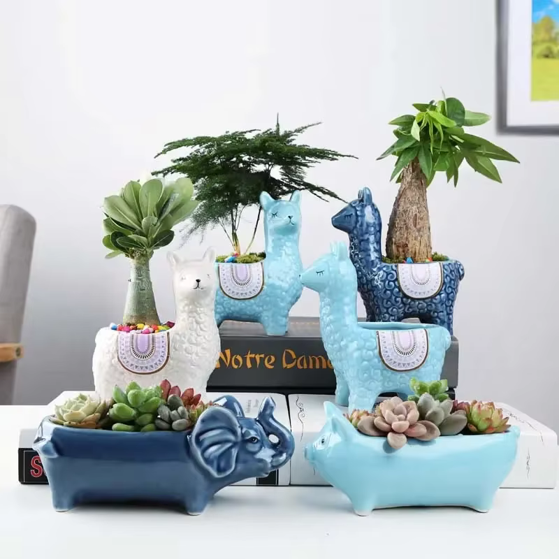 Pot de fleur succulente en alpaga