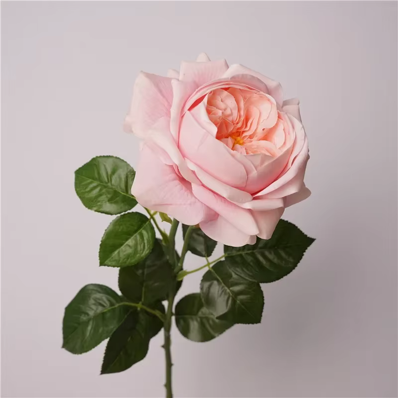 Roses Artificielles en Latex