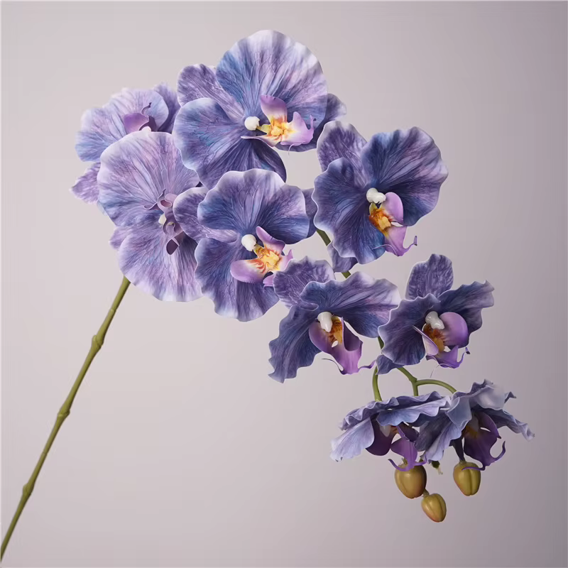 Fausses fleurs en film latex phalaenopsis