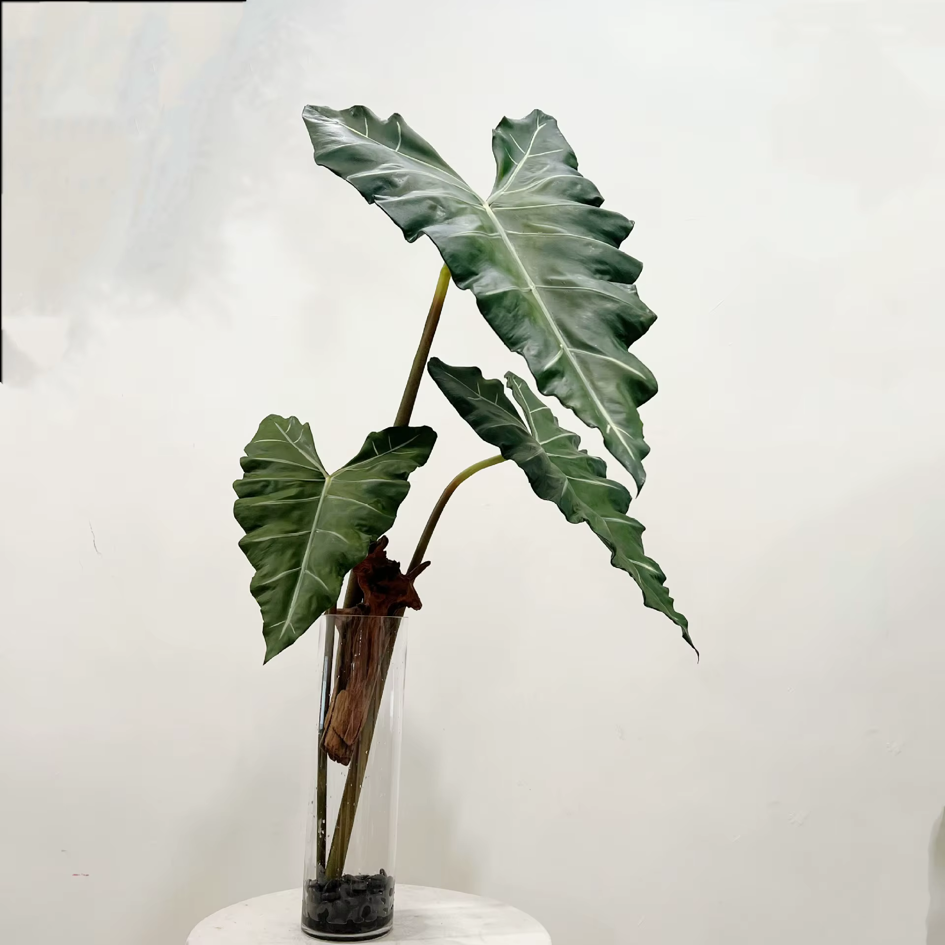 Plante verte en PU simulée